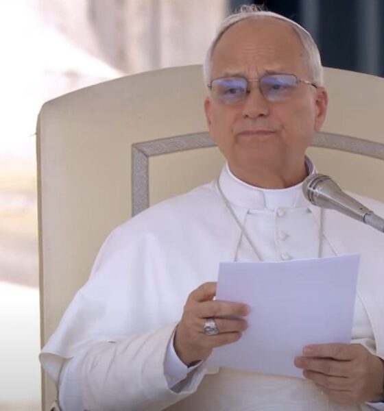 León XIV: Continuidad en actitud de acogida pero nuevas reformas en la Iglesia son ‘improbables’