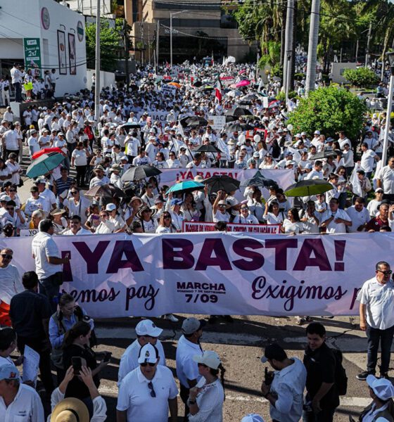 Paz como producto nacional: la economía abraza la esperanza