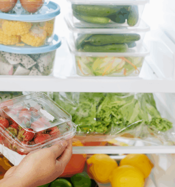 conserva tus alimentos en el refri