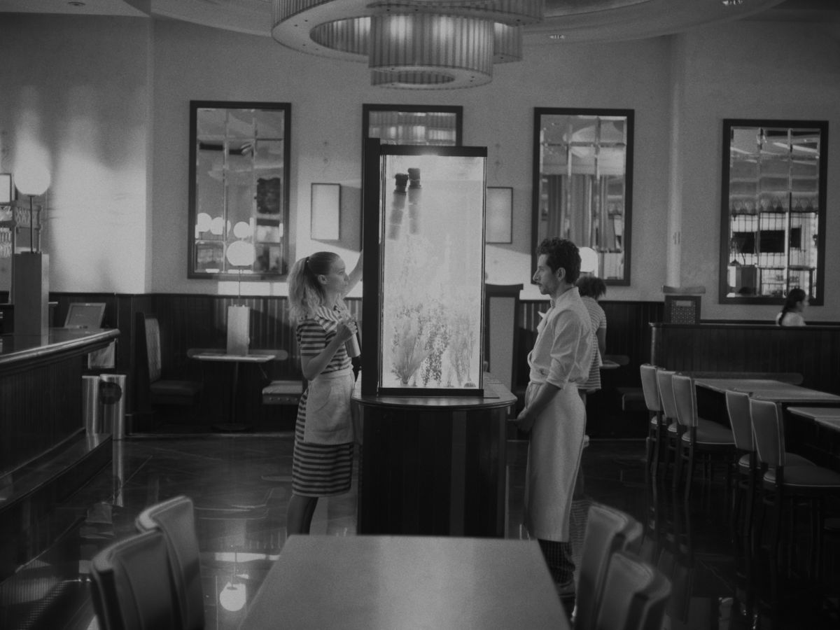 “La cocina”, gana cinco Premios Ariel con un drama sobre un migrante en NY cuyo sueño es ser padre Un migrante mexicano entra en crisis por aborto de su novia