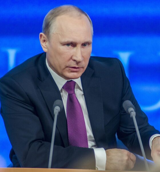 Vladimir Putin, presidente de Rusia - FOTO: Pixabay.com