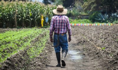 FOTO: MARIO JASSO/CUARTOSCURO.COM