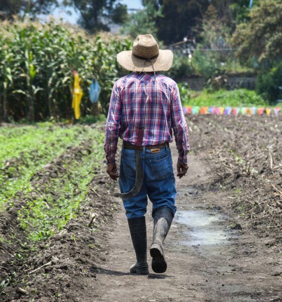 FOTO: MARIO JASSO/CUARTOSCURO.COM