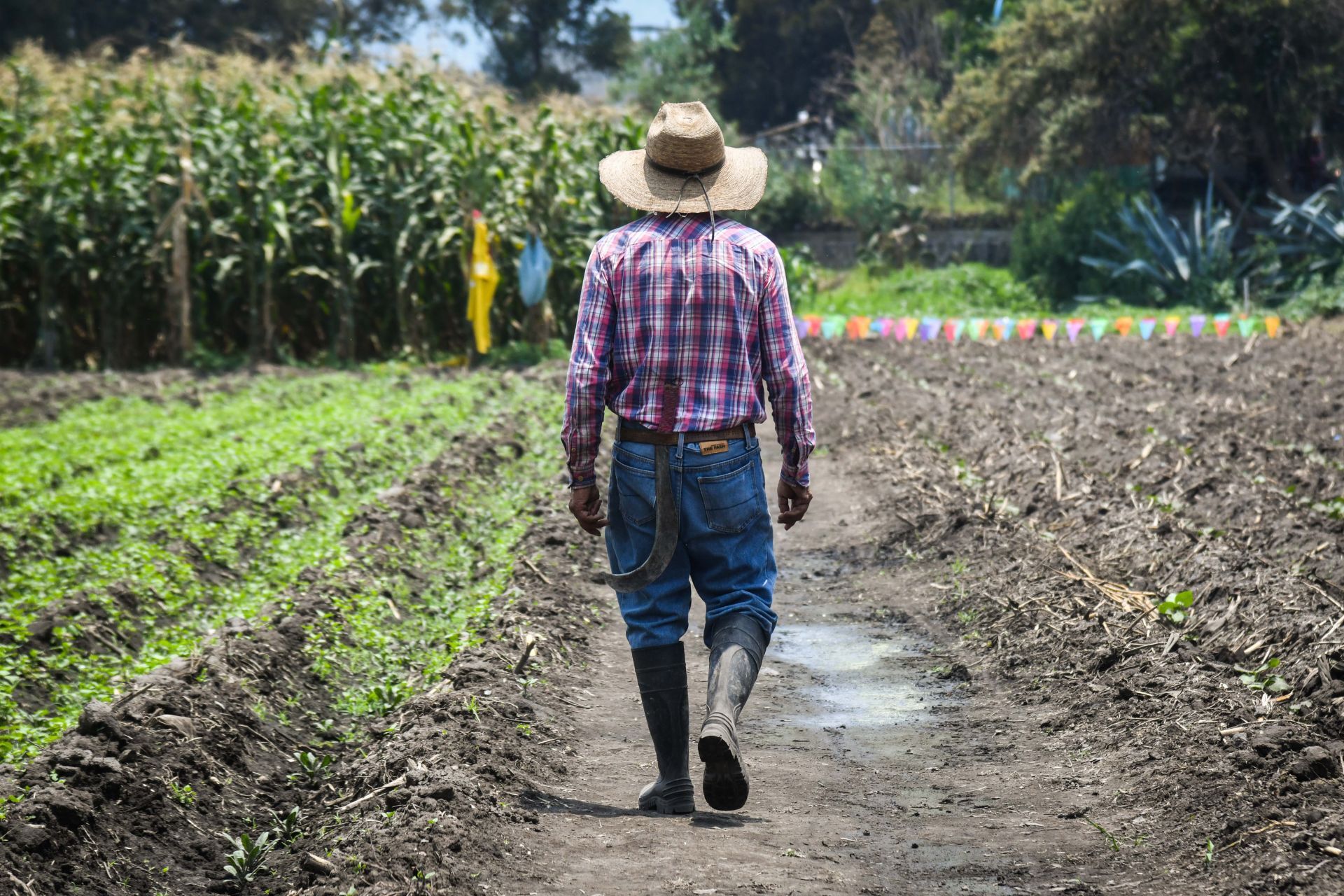 FOTO: MARIO JASSO/CUARTOSCURO.COM