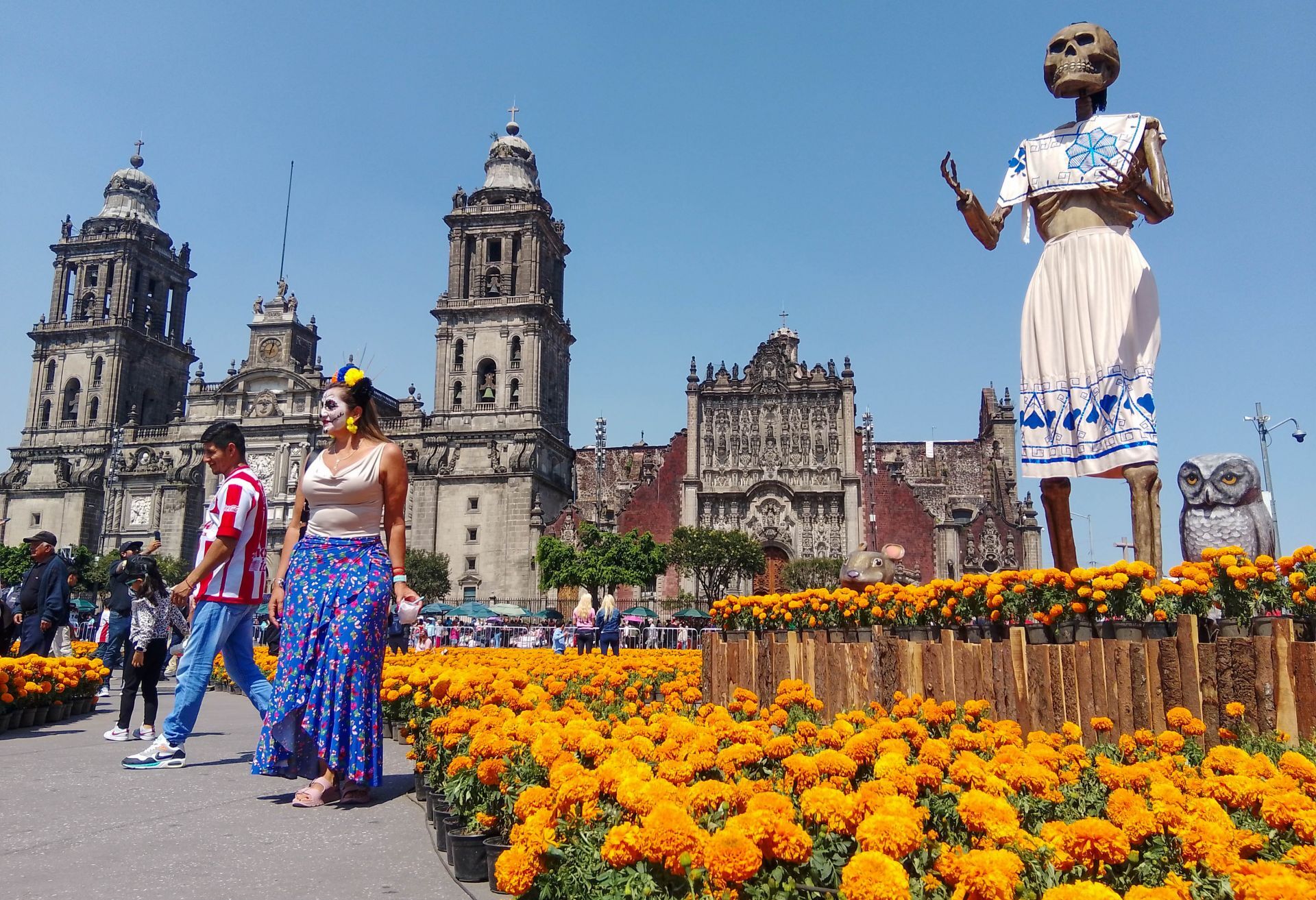 Ofrenda Monumental del Zócalo está dedicada a mujeres indígenas - Siete24 Noticias con proposito y sentido humano