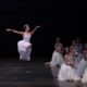 Giselle, ballet,CND