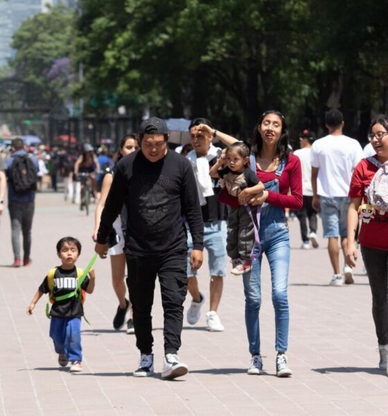 Con impulso de Instituto Newman, presentan Ruta para garantizar el derecho a vivir en familia