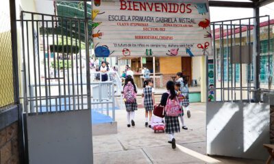 SEP lleva a las aulas tema de “infancias trans”: Frente Nacional por la Familia pide frenar el adoctrinamiento