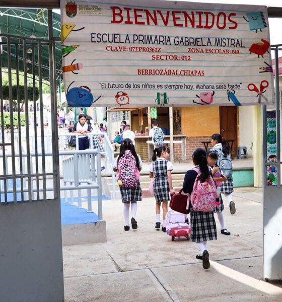 SEP lleva a las aulas tema de “infancias trans”: Frente Nacional por la Familia pide frenar el adoctrinamiento