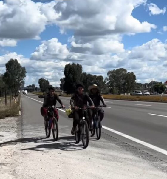 De Yucatán a Zacatecas: el viaje de tres albañiles rumbo al Santuario del Santo Niño de Atocha