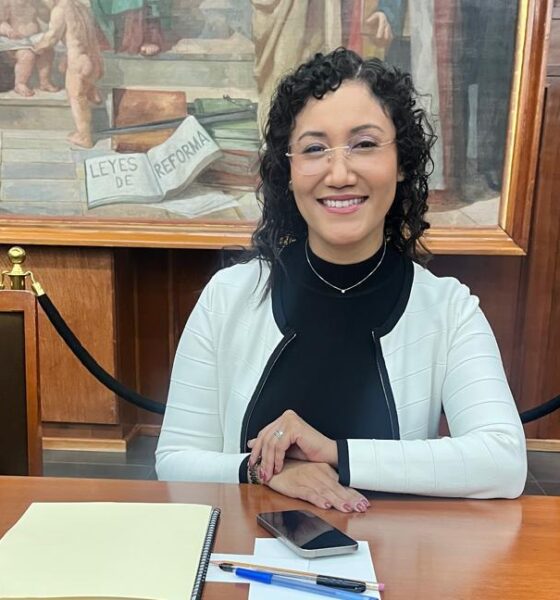 diputada Joanna Felipe Torres, presidenta de la Comisión Legislativa de Familia y Desarrollo Humano del Estado de México.