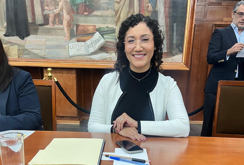 diputada Joanna Felipe Torres, presidenta de la Comisión Legislativa de Familia y Desarrollo Humano del Estado de México.