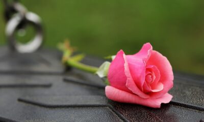 Foto stock: pixabay.com