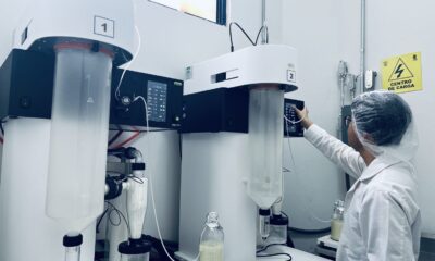 Leche materna en polvo