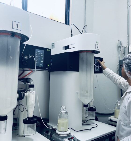 Leche materna en polvo