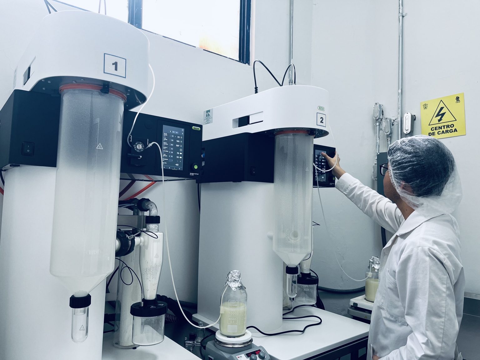 Leche materna en polvo