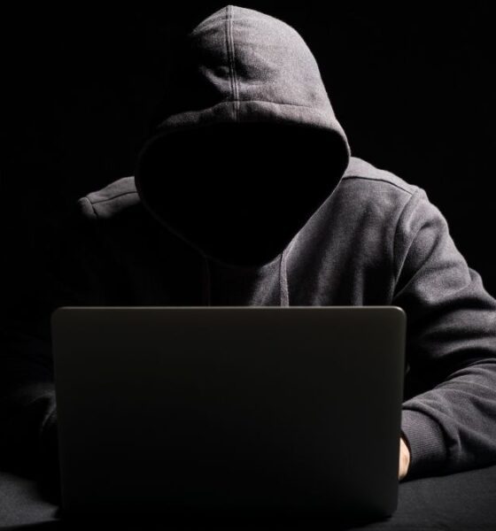 Alertas cibernéticas Buen Fin 2025