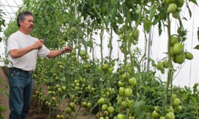 FOTO ARCHIVO: MARIO NULO/CUARTOSCURO.COM