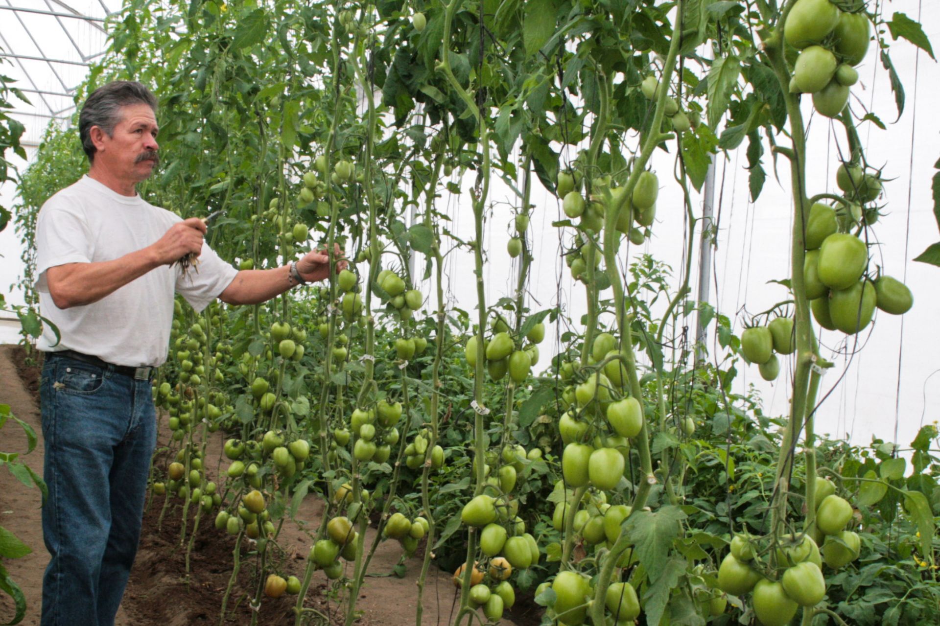 FOTO ARCHIVO: MARIO NULO/CUARTOSCURO.COM