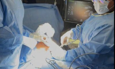 Cirugía fetal: el campo que modifica la vida de los bebés antes de nacer