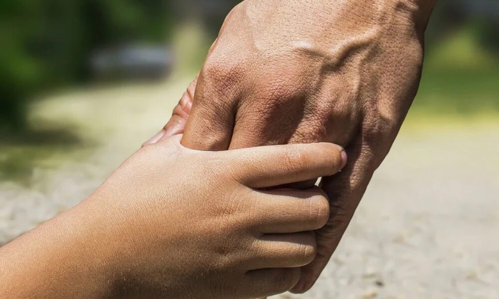 Los cuidados paliativos, derecho humano que honra la vida hasta el último instante