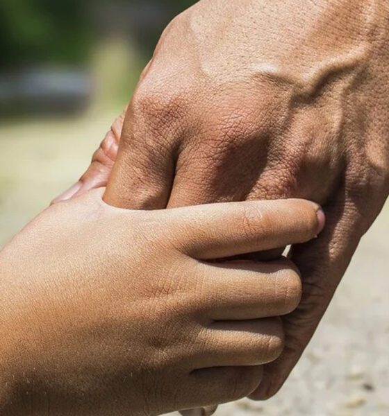 Los cuidados paliativos, derecho humano que honra la vida hasta el último instante