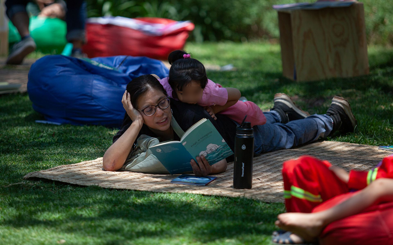 Cómo nace un lector: hogar, escuela y redes marcan la ruta de lectura