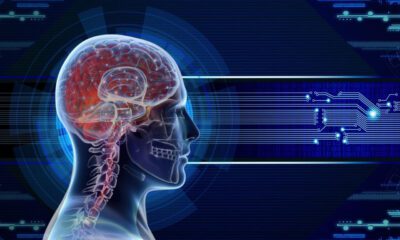 Neuroderechos, nuevo eje ético para investigar el cerebro humano