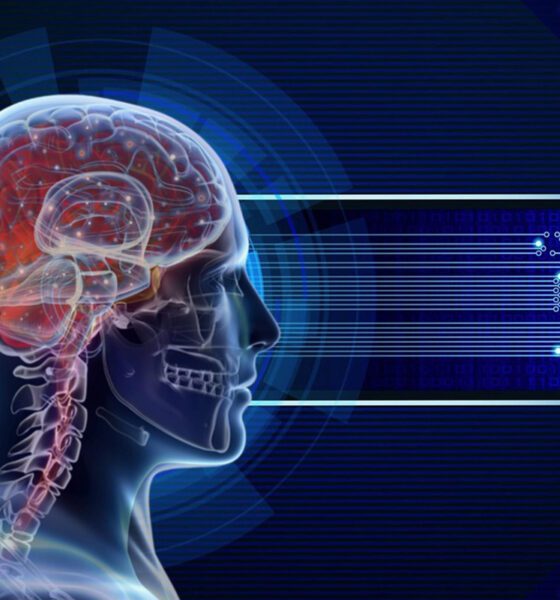 Neuroderechos, nuevo eje ético para investigar el cerebro humano