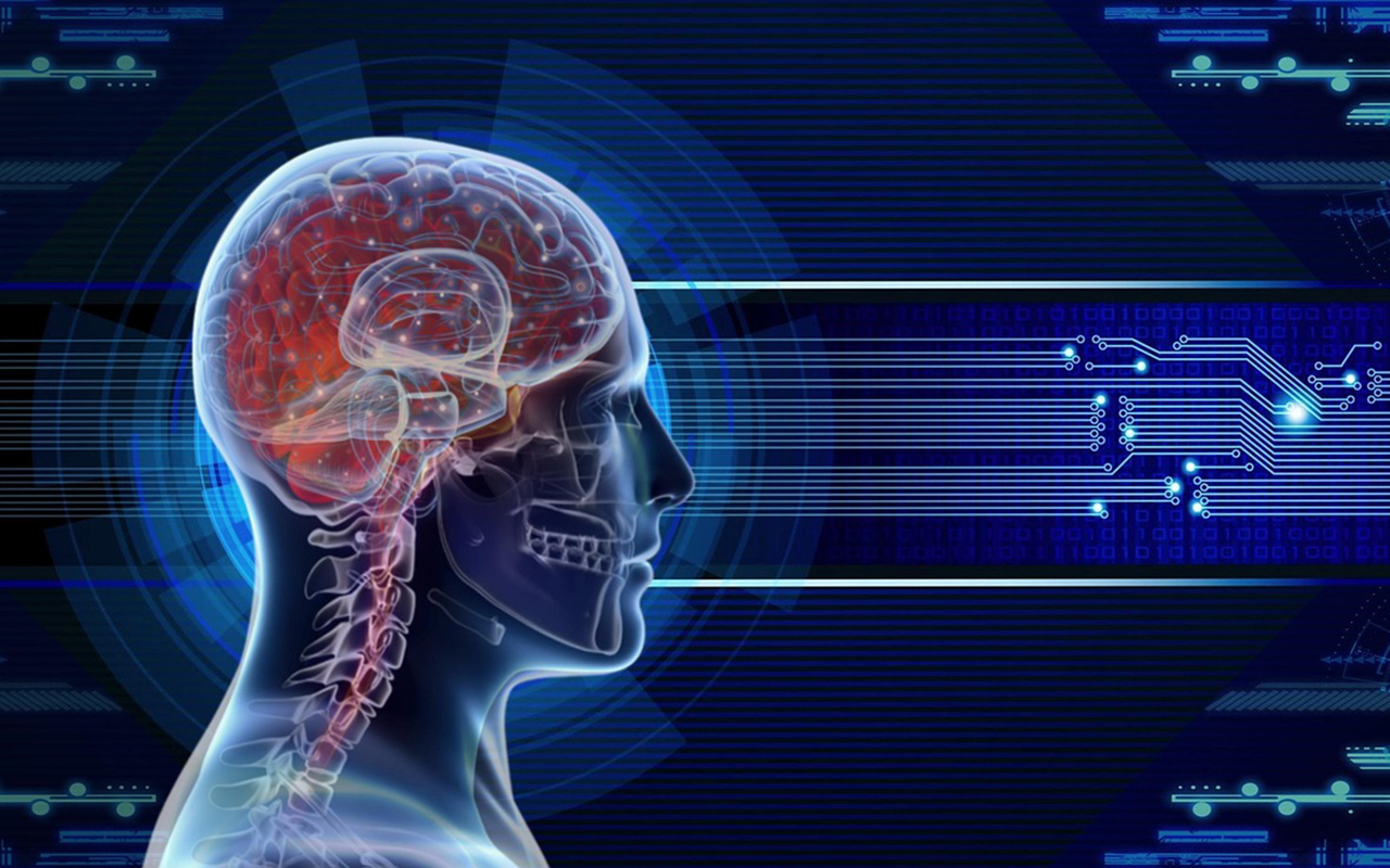 Neuroderechos, nuevo eje ético para investigar el cerebro humano