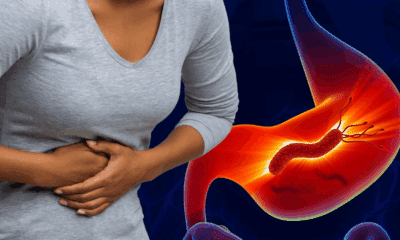 bacteria Helicobacter pylori