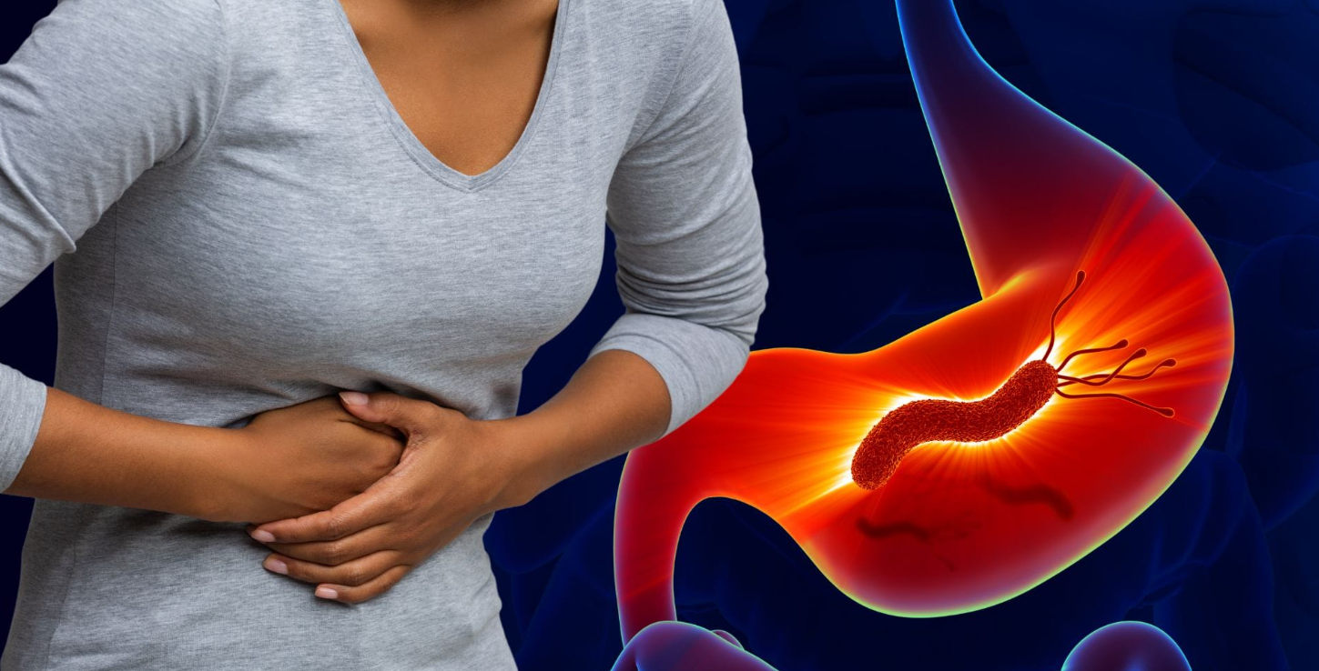 bacteria Helicobacter pylori