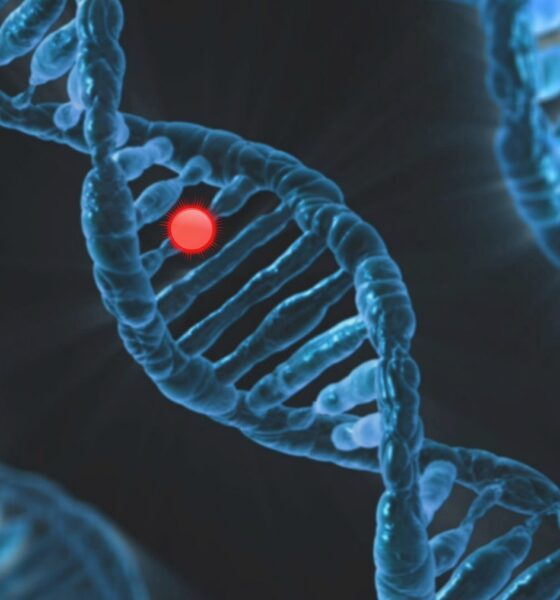 Foto archivo: pixabay.com