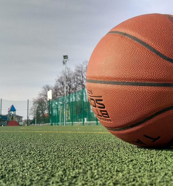 Foto de stock: pixabay.com