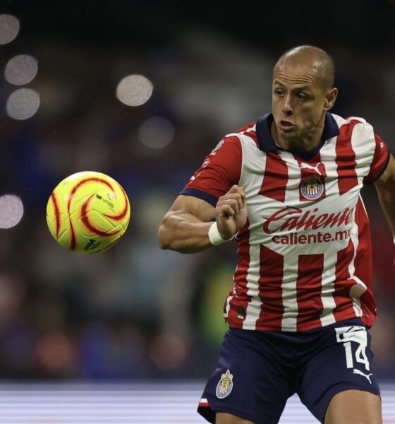 FOTO: EDGAR NEGRETE LIRA/CUARTOSCURO.COM