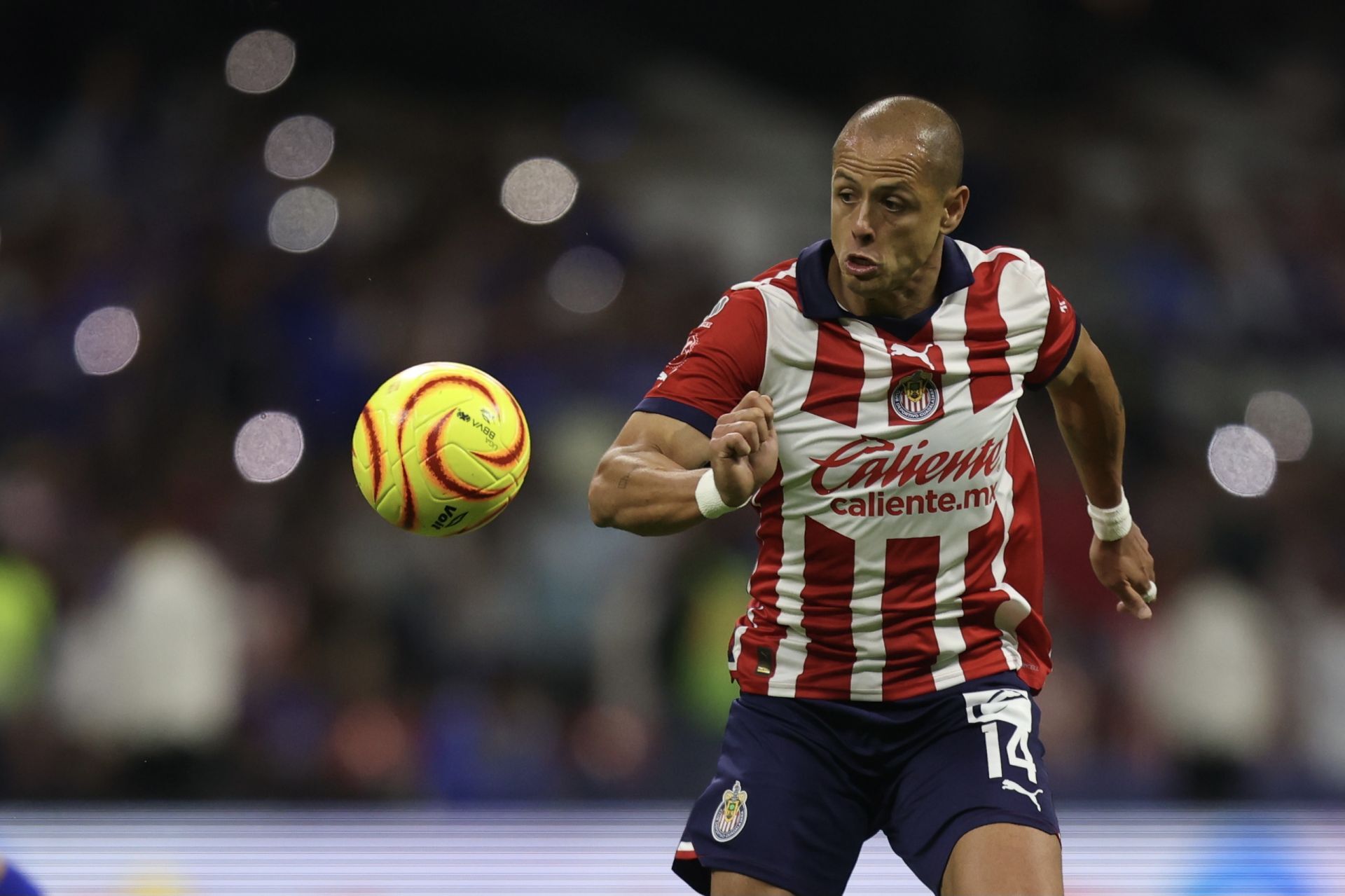 FOTO: EDGAR NEGRETE LIRA/CUARTOSCURO.COM