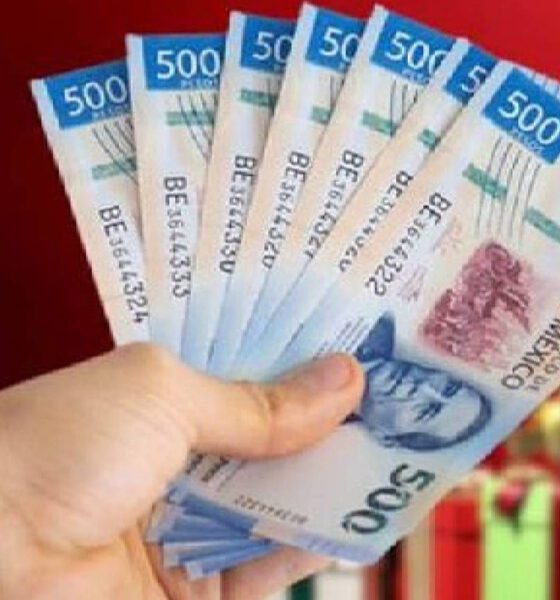 ¿Quiénes quedan fuera del aguinaldo y por qué no todos los empleados lo reciben?