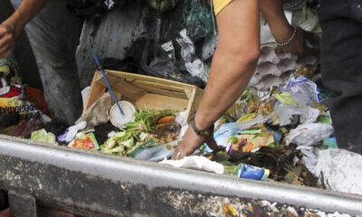 Alimentos que sobran: por qué el desperdicio comienza en el hogar