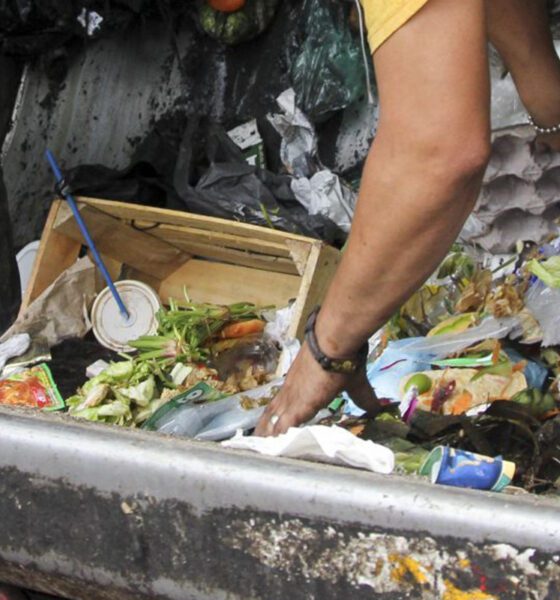 Alimentos que sobran: por qué el desperdicio comienza en el hogar