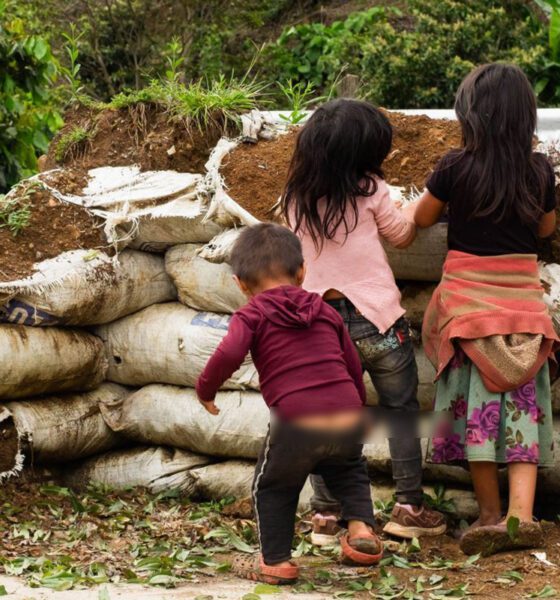 Rezagos en salud, educación y seguridad frenan desarrollo social en México