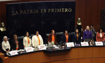 Organizaciones civiles advierten riesgos jurídicos y operativos en iniciativa de “igualdad sustantiva”