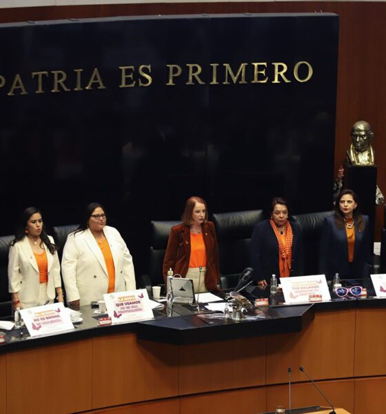 Organizaciones civiles advierten riesgos jurídicos y operativos en iniciativa de “igualdad sustantiva”