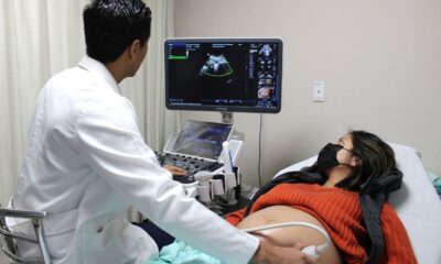 El nopal apunta a proteger la salud del bebé desde el vientre materno