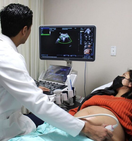 El nopal apunta a proteger la salud del bebé desde el vientre materno