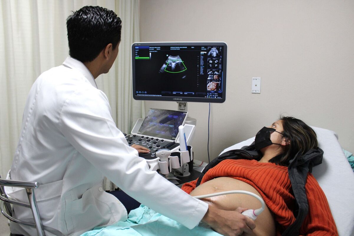 El nopal apunta a proteger la salud del bebé desde el vientre materno