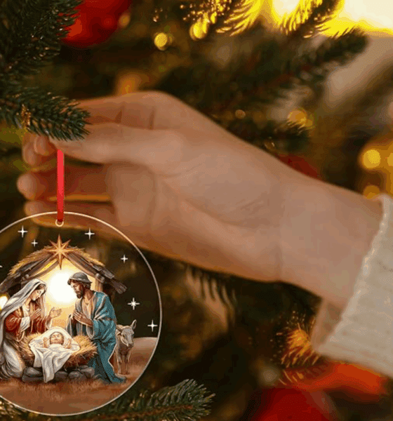 Descubre por qué tu Árbol de Navidad provoca alergias