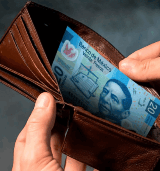 guía para sobrevivir a la cuesta de enero