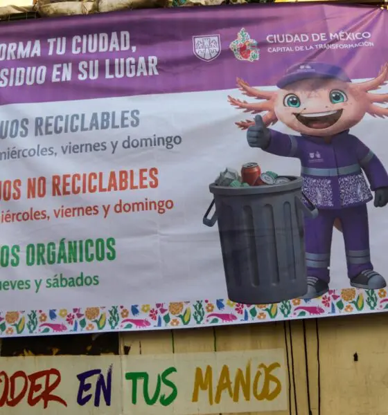 este 1 de enero entró en vigor el esquema obligatorio "Transforma tu ciudad, cada basura en su lugar". Te explicamos el calendario de recolección y cómo evitar errores comunes