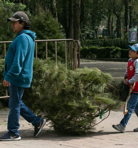 FOTO: MOISÉS PABLO/CUARTOSCURO.COM