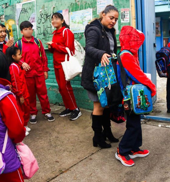 Honestidad en la educación: coordinación institucional para formar valores desde la infancia